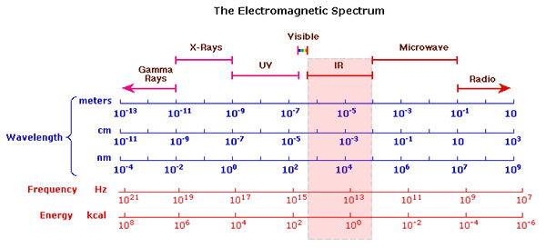 ir spectra database